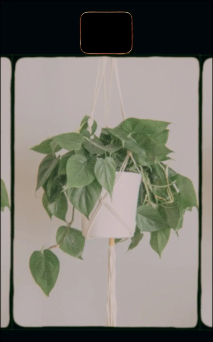 What Do You Need? How Stuff Impacts Wellbeing